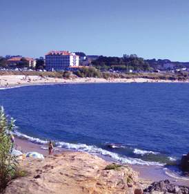 Delfin Azul