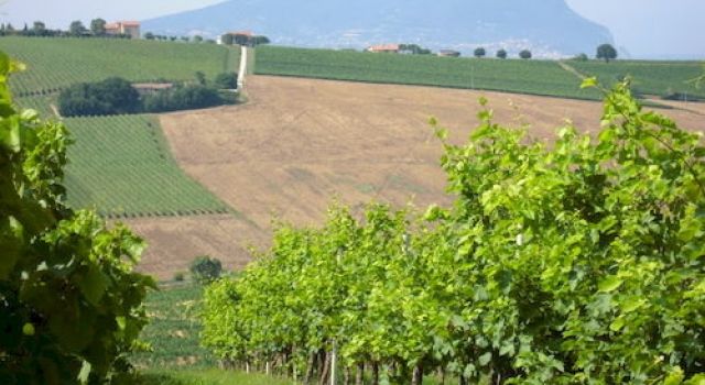 Agriturismo Case al Sole