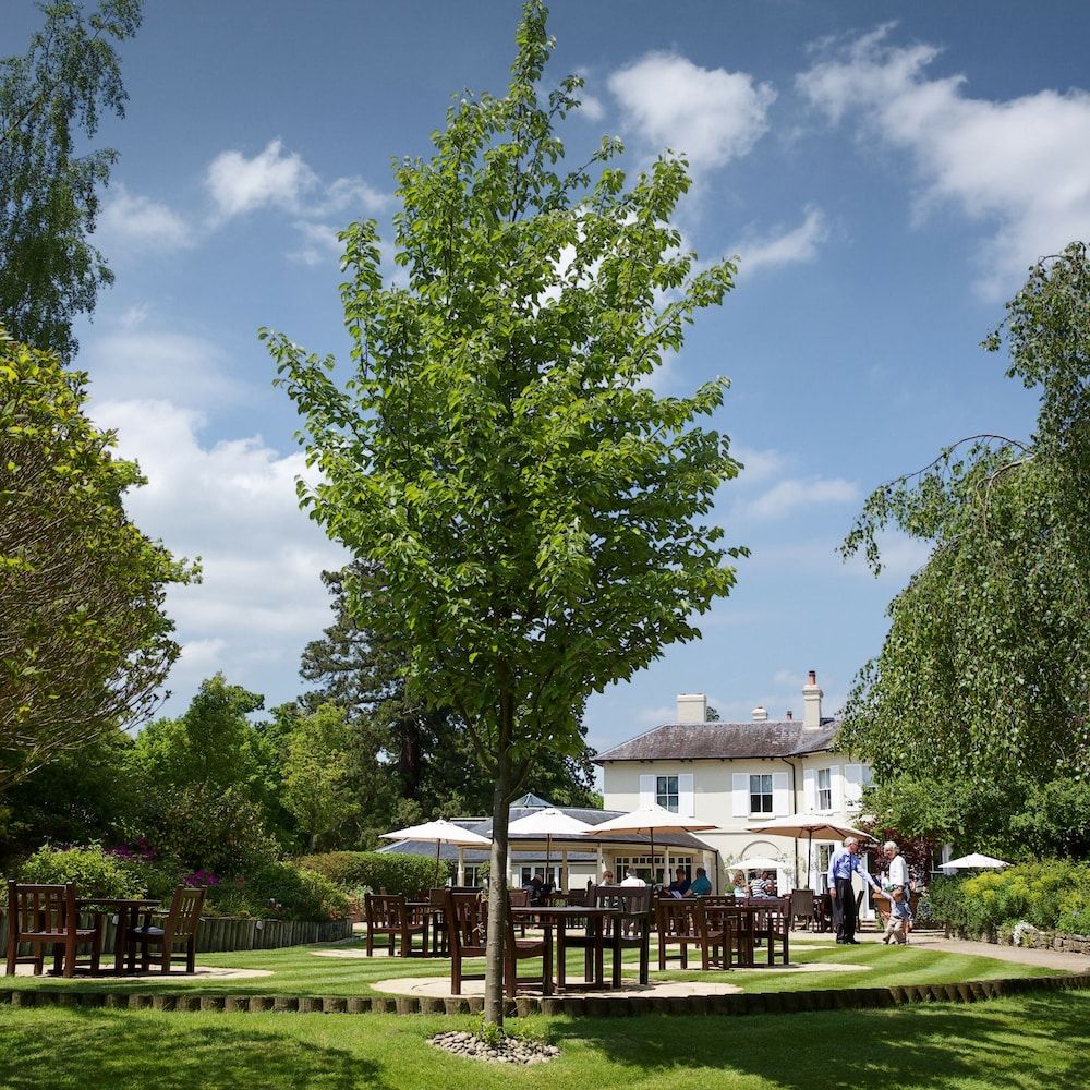 The Vineyard Hotel and Spa