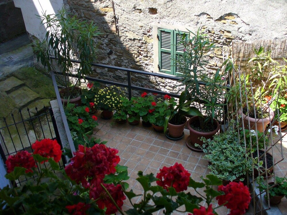 Bed & Breakfast Il Campo Dei Papaveri