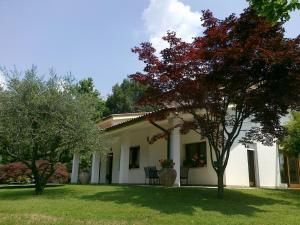 Gli Scoiattoli