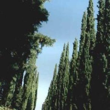 Fattoria Inalbi