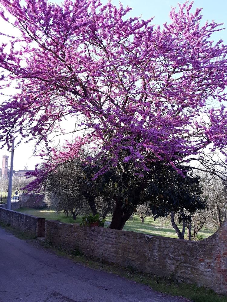Fattoria di Poggio Capponi