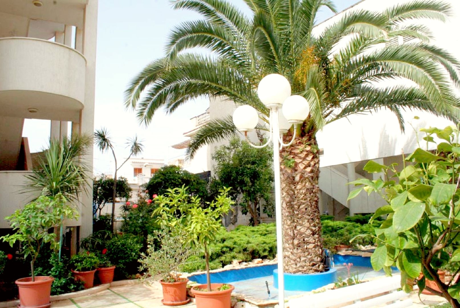 Eden Torre Canne