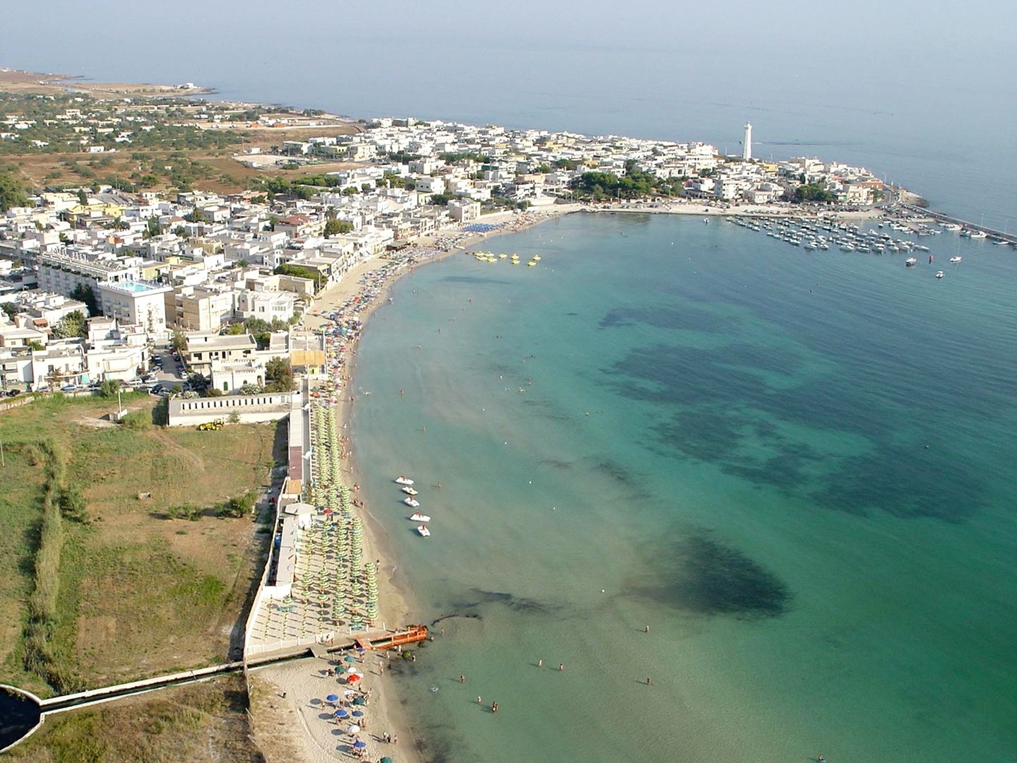 Eden Torre Canne