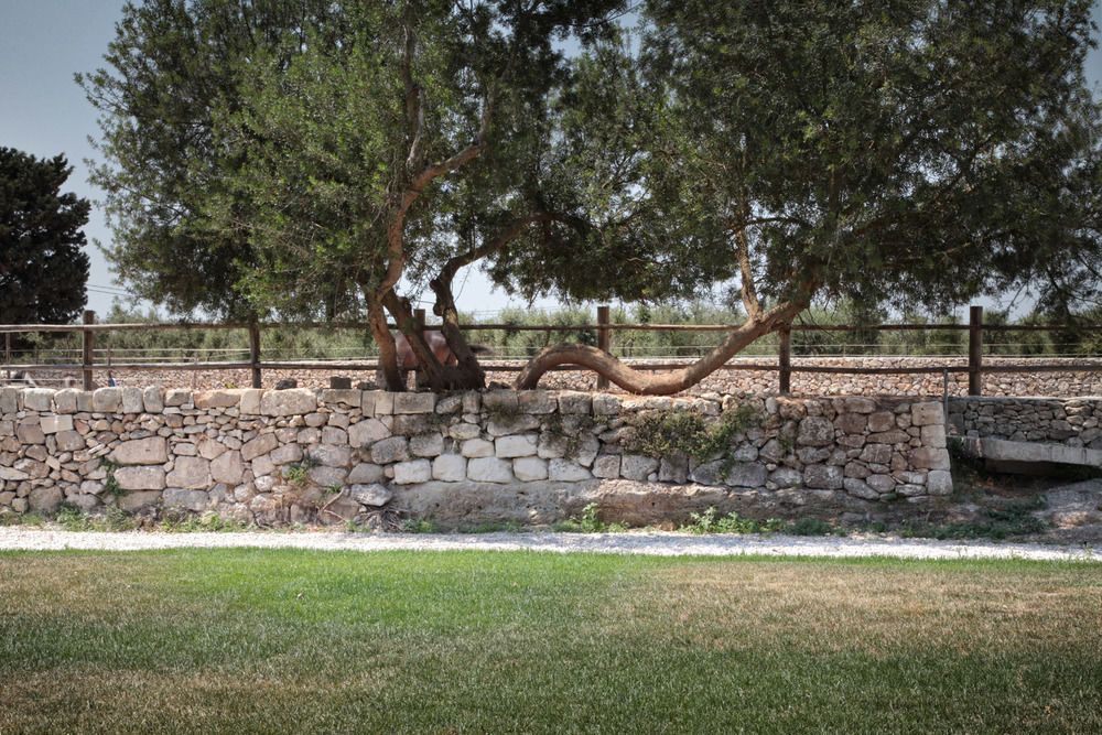Masseria Prosperi