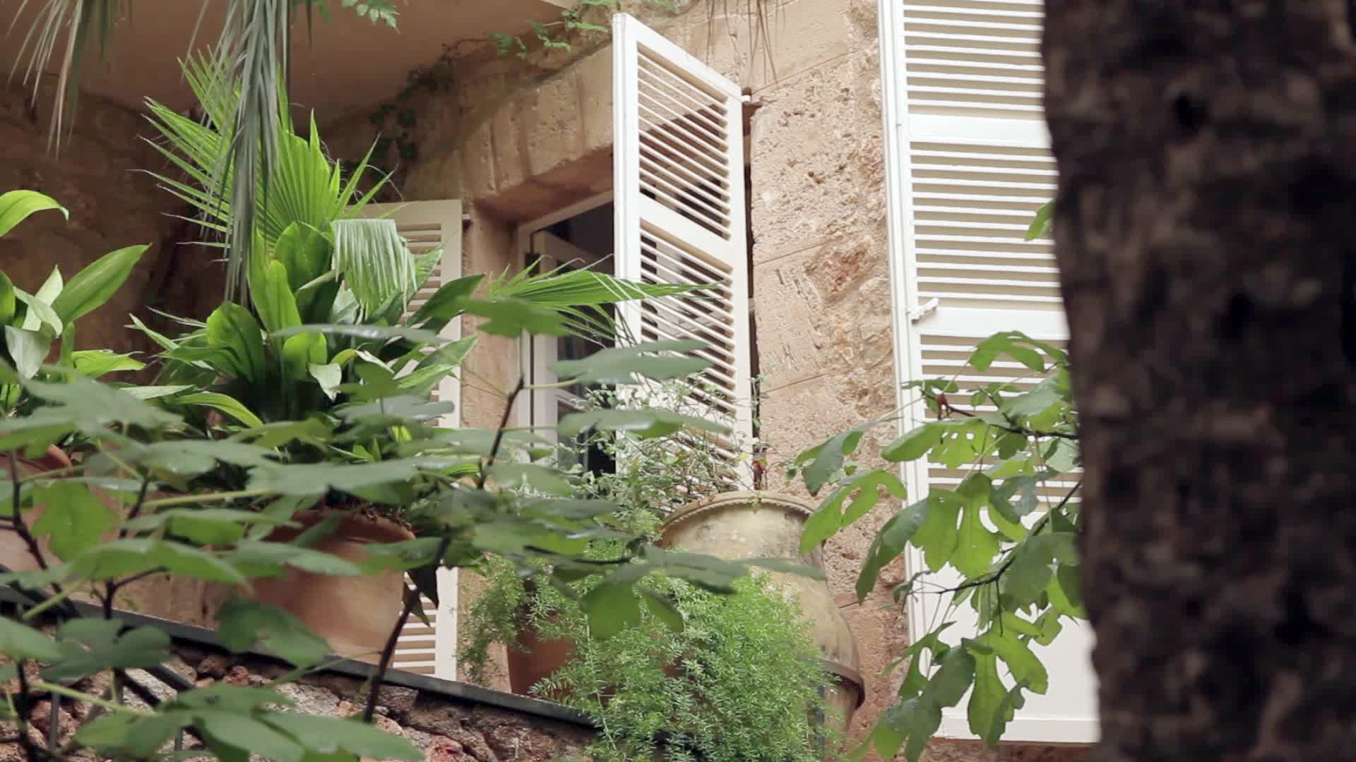 Ca'n Verdera