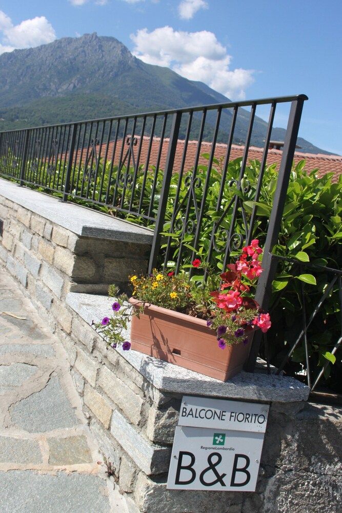 B&B Balcone Fiorito