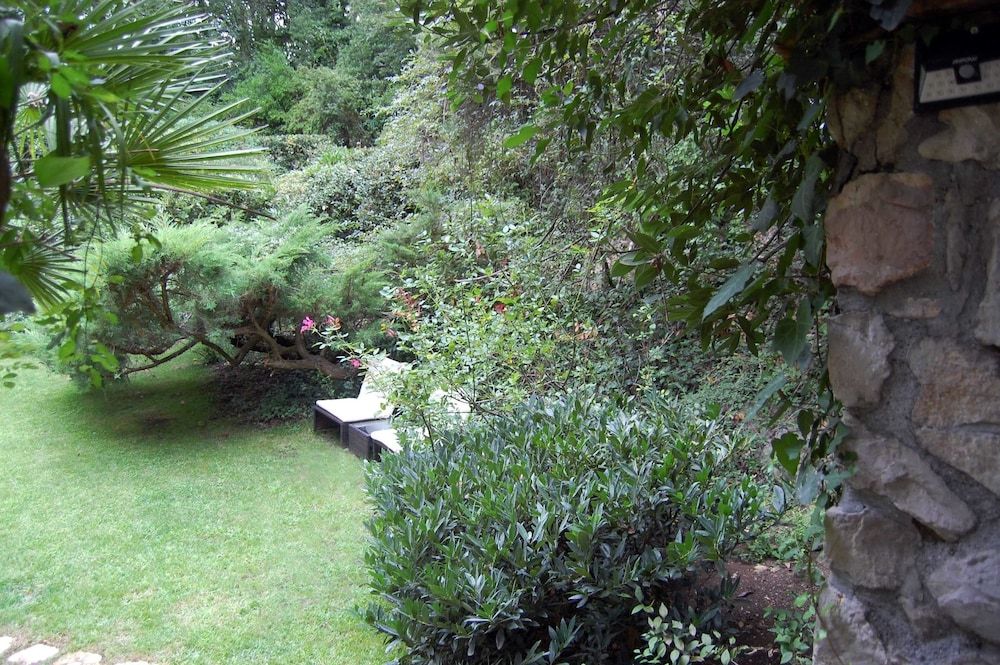 Beyond The Garden