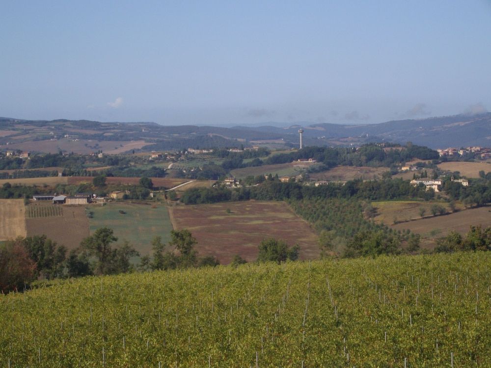 Il Cardo