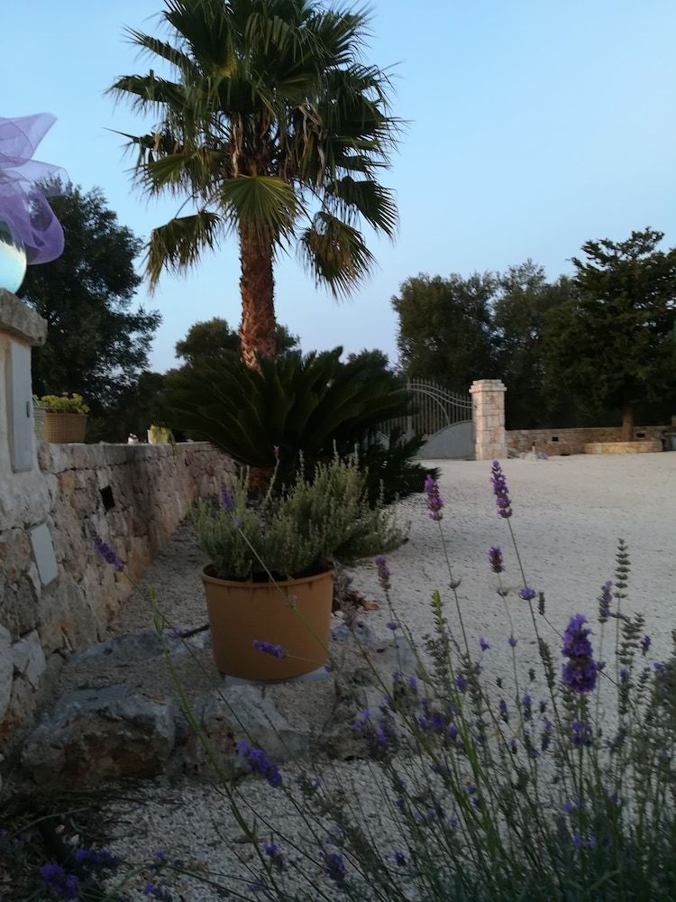 B&B Demetra