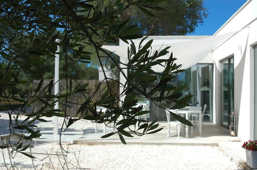 Ulivi Al Sole Charming B&B
