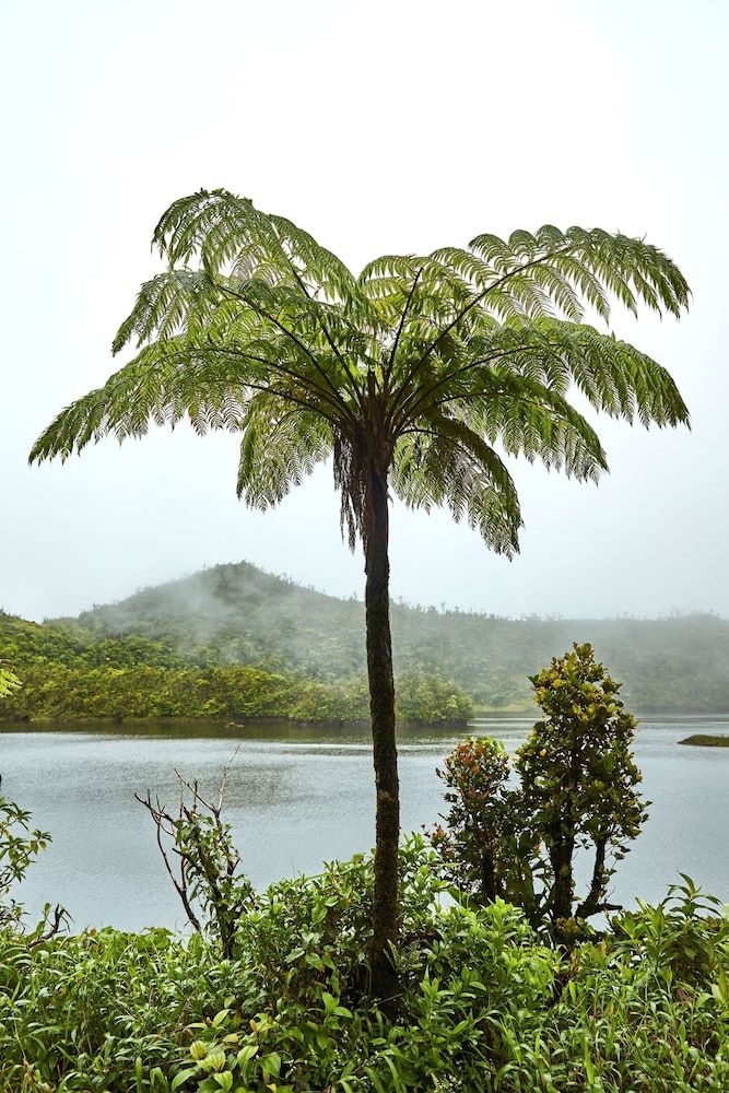 InterContinental Dominica Cabrits Resort & Spa