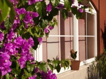 Hotel Villa Rosa