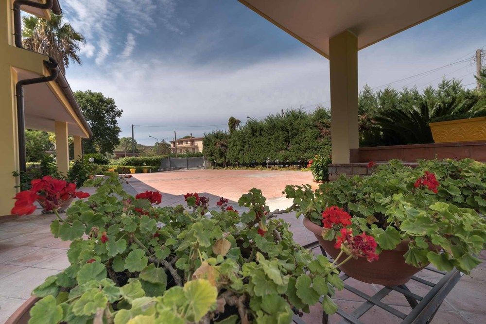 Musae
