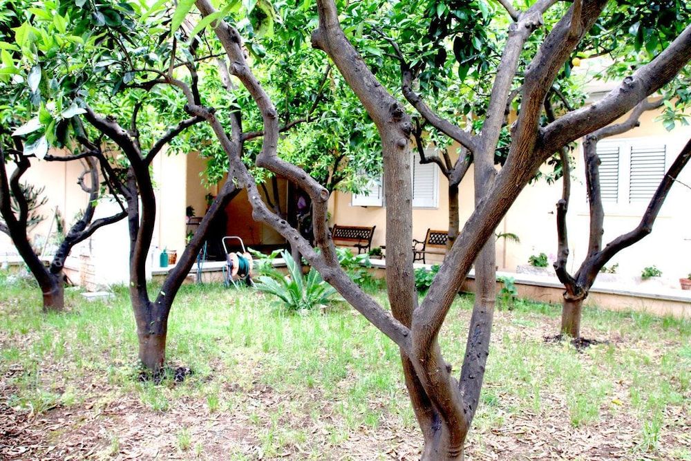 Bed and Breakfast L'Aranceto
