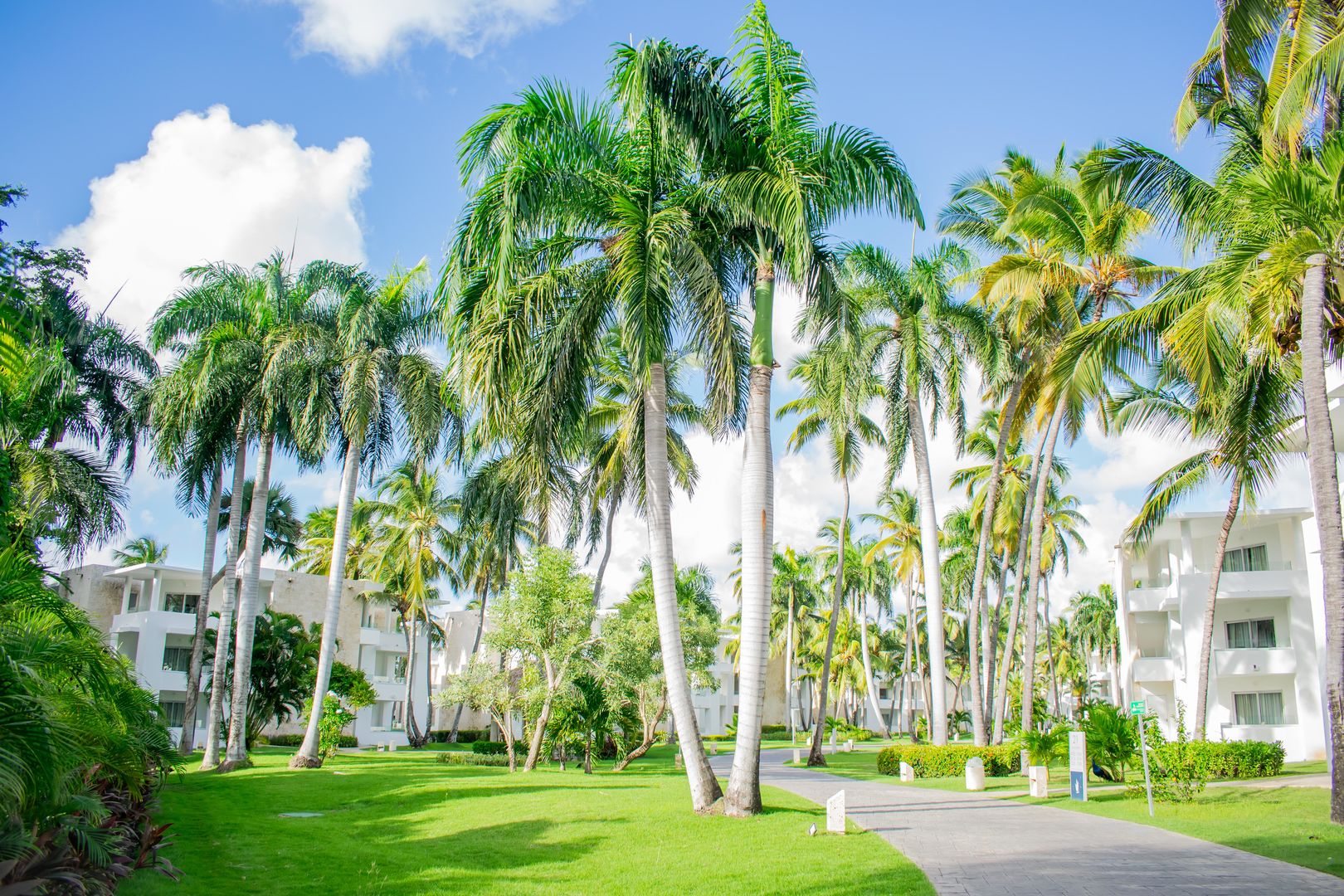 Grand Bavaro Princess