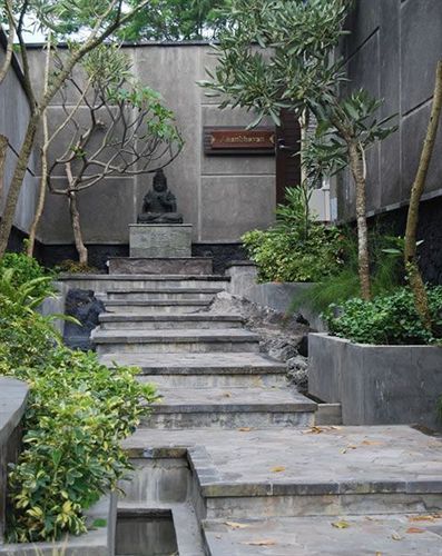 The Ayu Kintamani