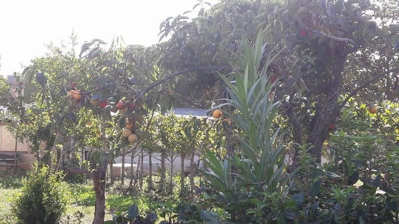 Agriturismo Beethoven