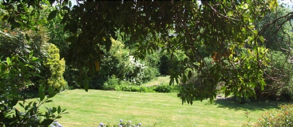 Castle House B&B