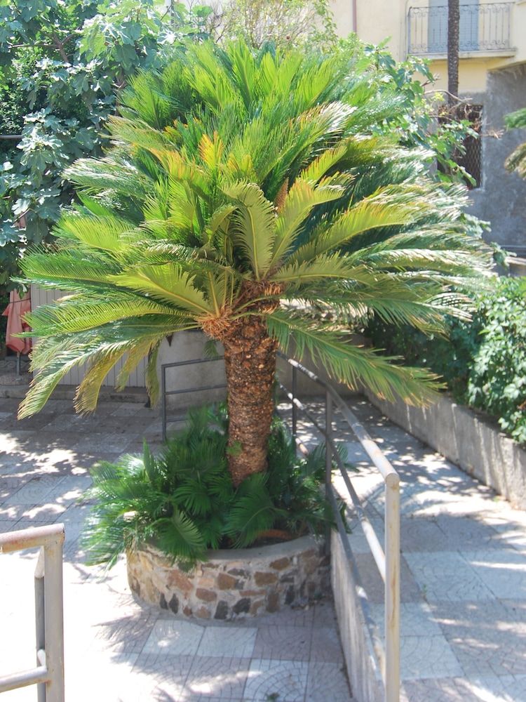 Hotel San Giuseppe