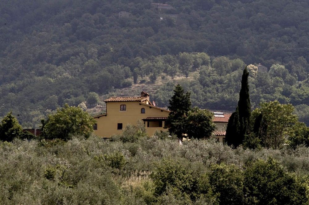 Il Bellini