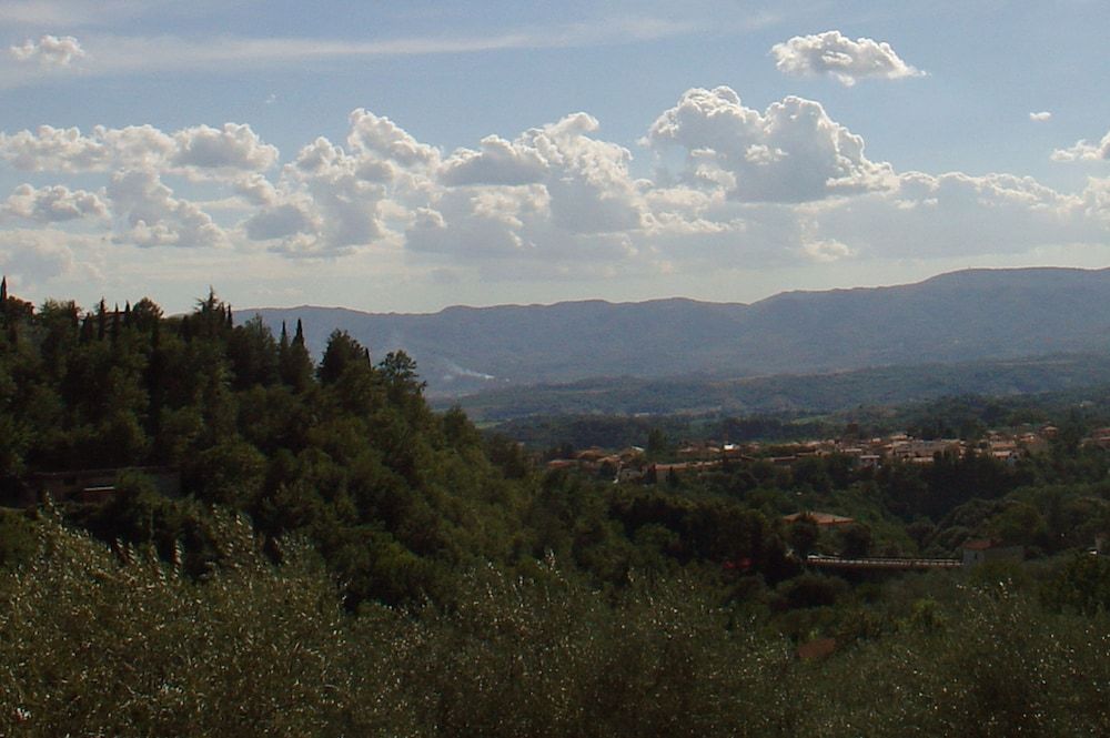 Il Bellini