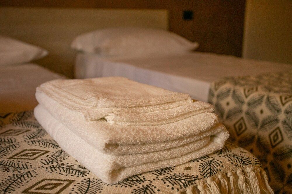 B&B Trepo