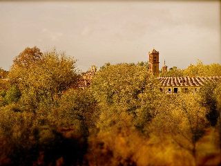 Monasterio de Piedra