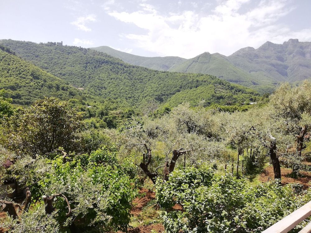 Il Giardino