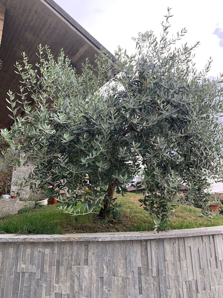 Villa Cuore