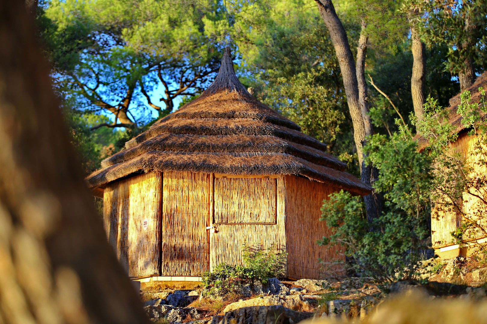 Pine Beach Pakostane