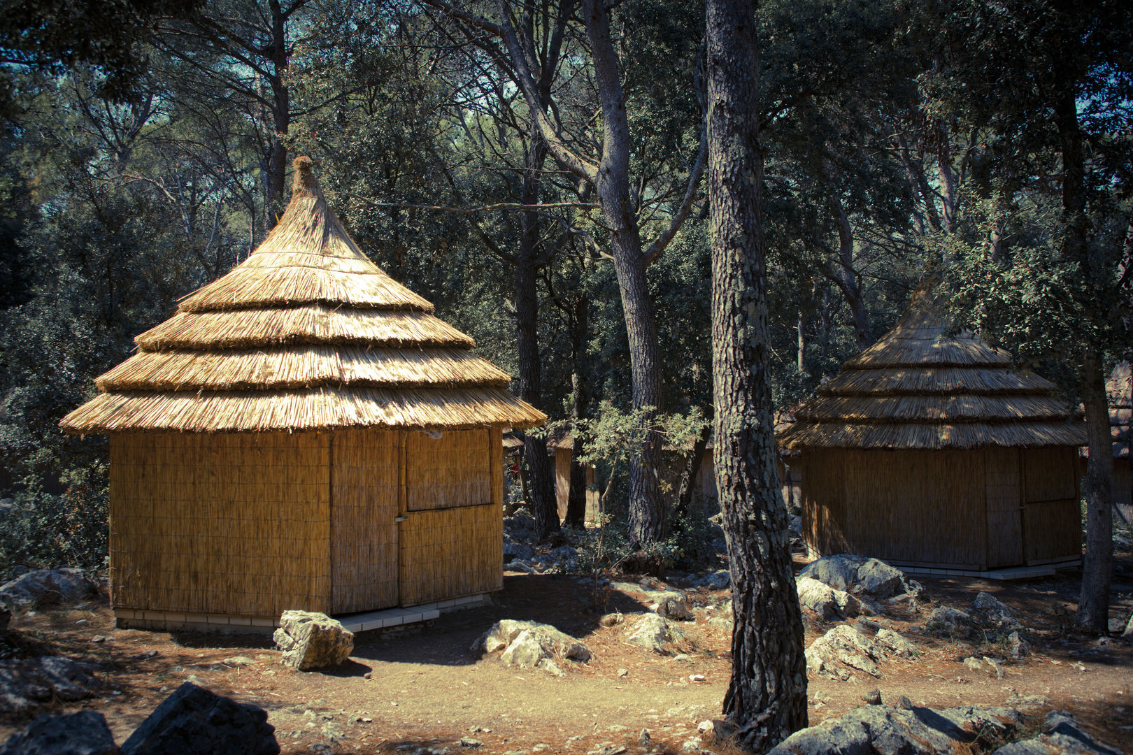 Pine Beach Pakostane