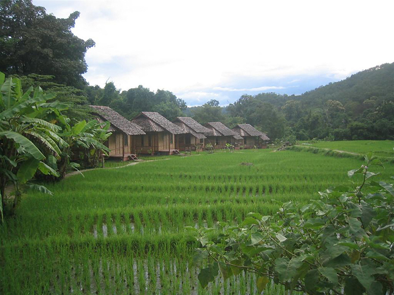 Fern Resort