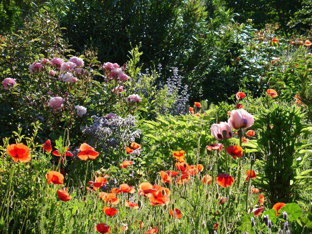 Il Melograno B&B