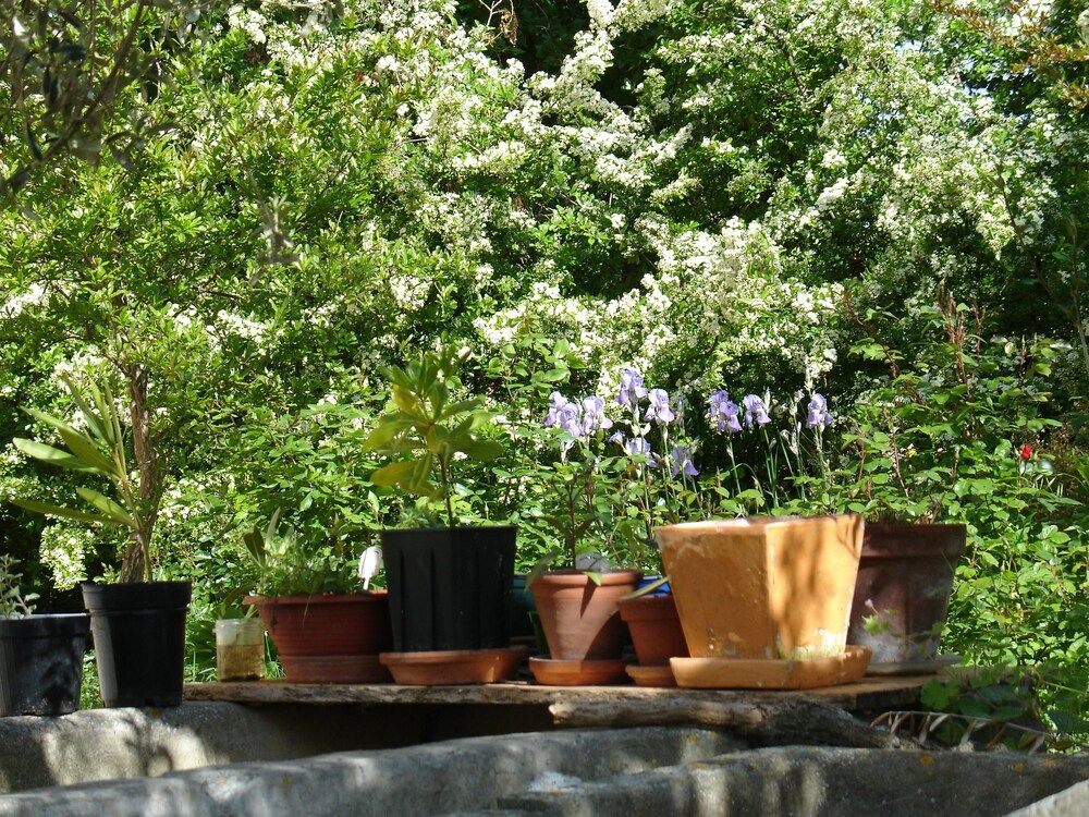 Il Melograno B&B