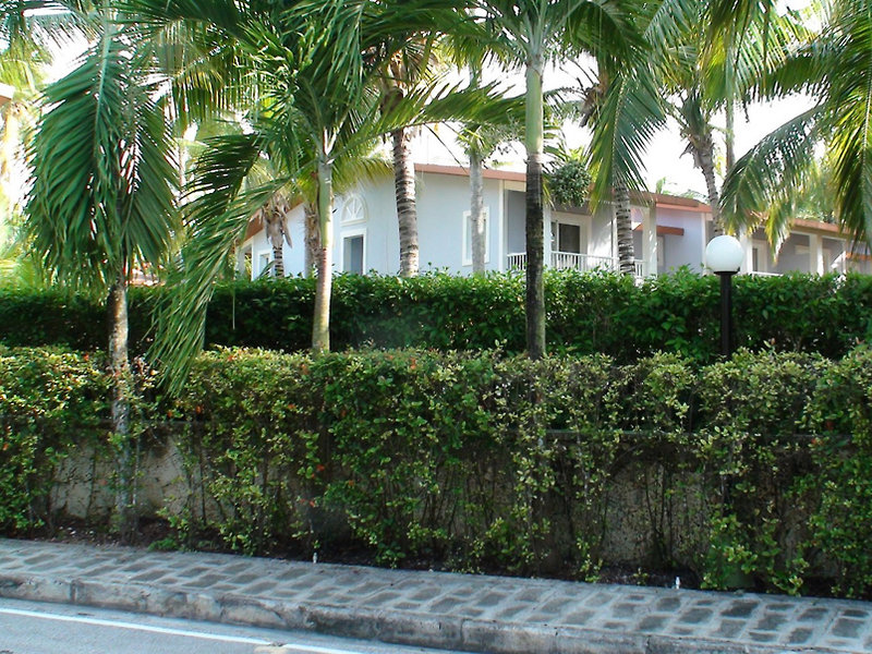 Hotel Riu Bambu