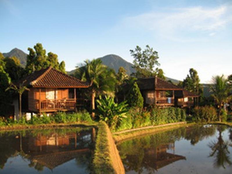 Puri Lumbung Cottages