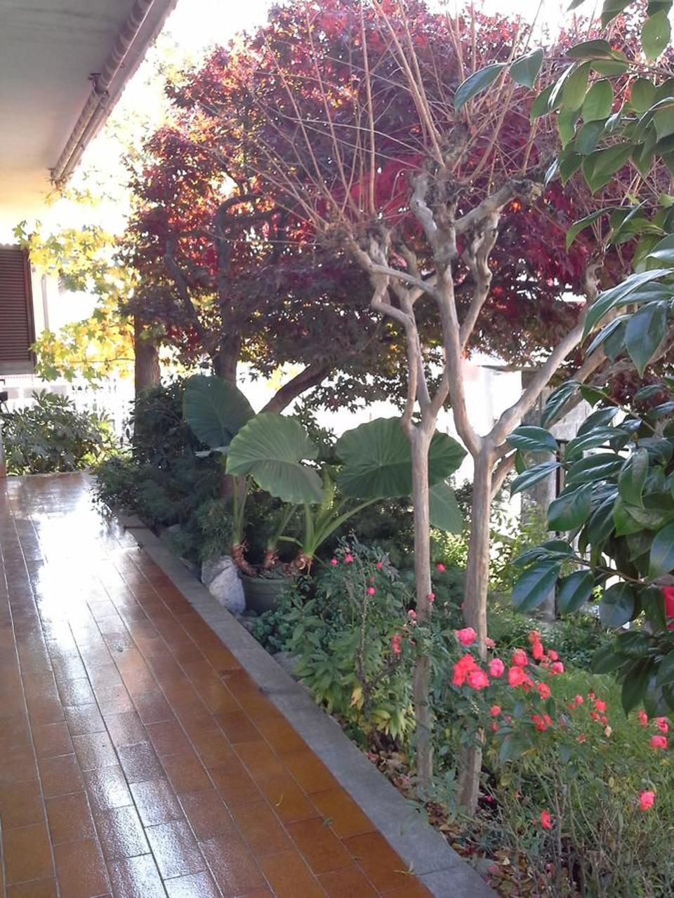 B&B Le Betulle