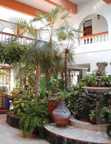 Hotel Los Cactus