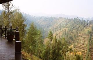 Bromo Cottages