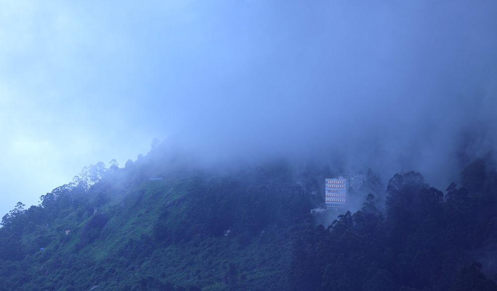 Amber Dale Munnar