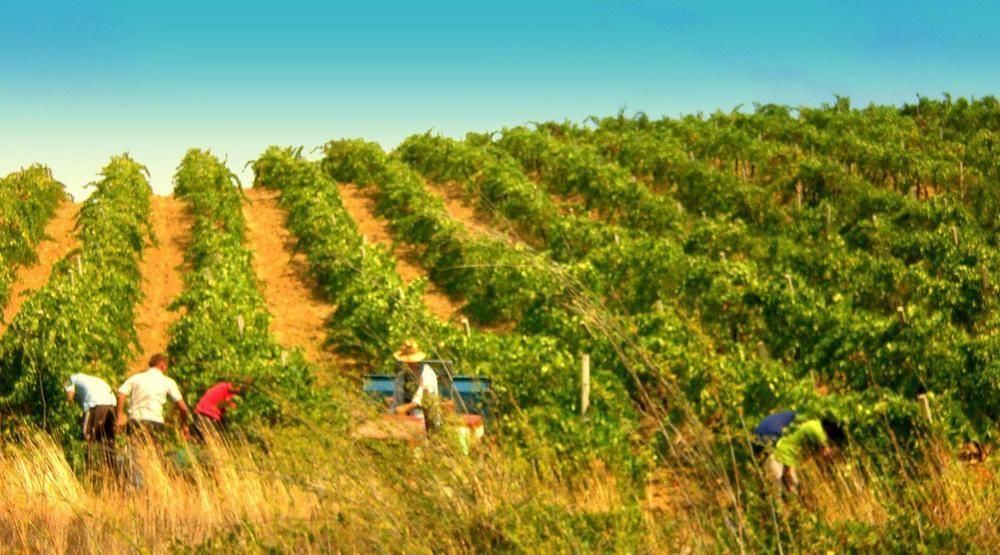 Agriturismo Tarantola