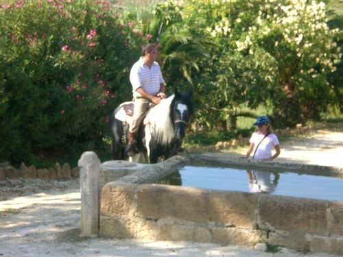Agriturismo Tarantola