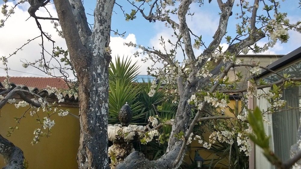 Sant'Antonio Garden B&B