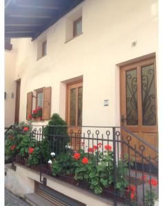B&B Doro
