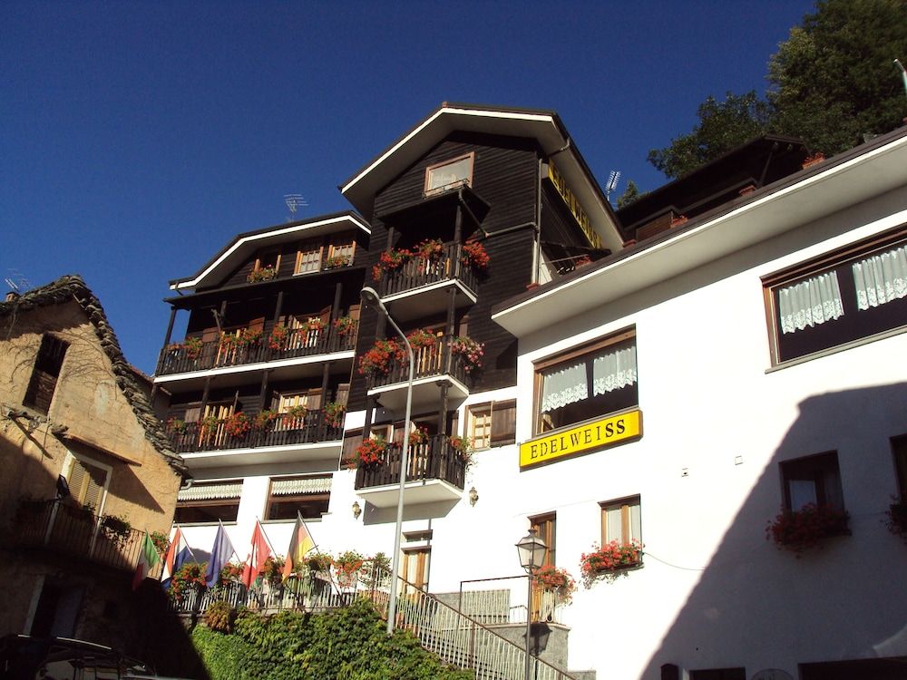 Edelweiss