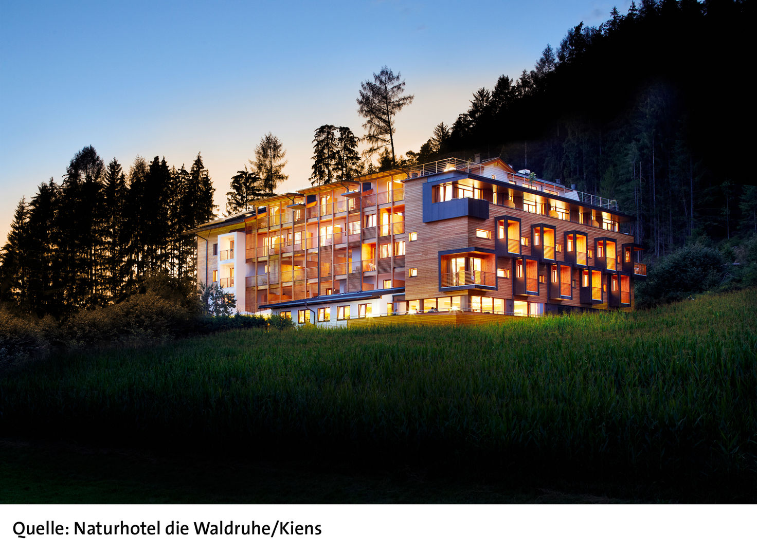 Naturhotel die Waldruhe
