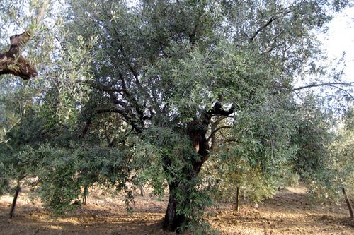 La locanda Di Campagna