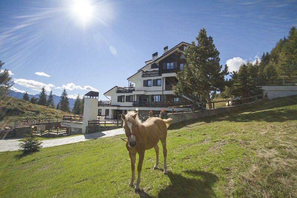 Residence Stefania